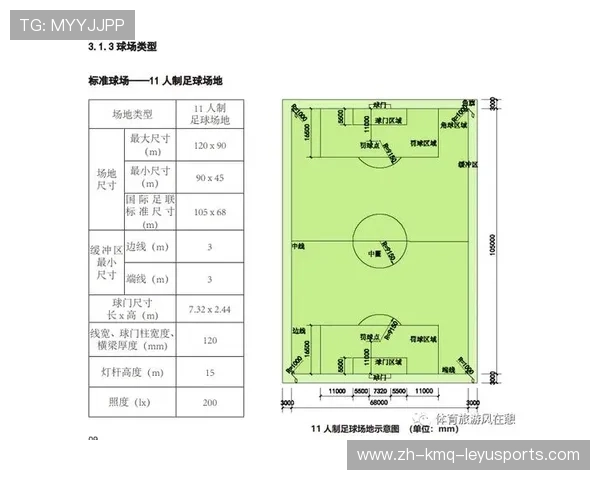 非营利性足球组织免税资格认定标准与监管体系重构